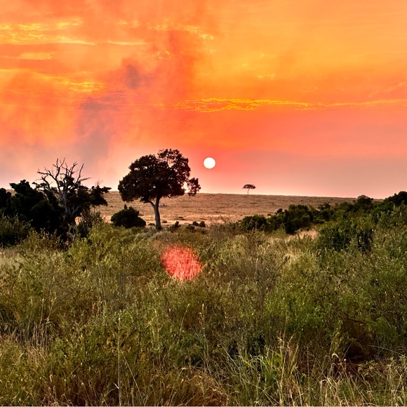 Meet your Posher, Emmy’s Edit - Picture 7 of 16